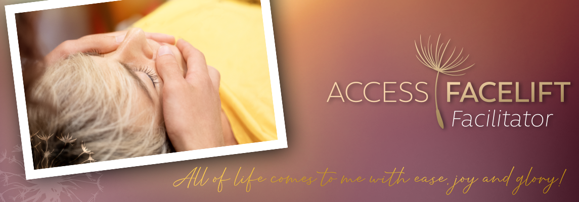 Access 能量面提課程