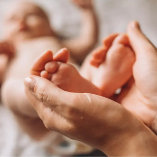 LaHoChi 適合所有人學習